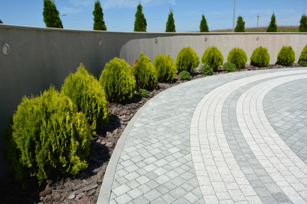 Best Commercial Driveway Paving in USA